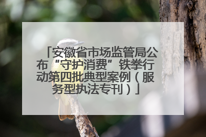 安徽省市场监管局公布“守护消费”铁拳行动第四批典型案例（服务型执法专刊）