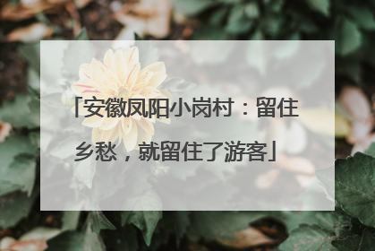 安徽凤阳小岗村：留住乡愁，就留住了游客