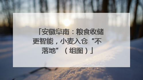 安徽阜南：粮食收储更智能，小麦入仓“不落地”（组图）