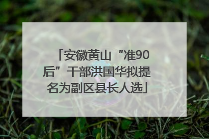 安徽黄山“准90后”干部洪国华拟提名为副区县长人选
