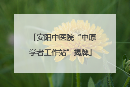 安阳中医院“中原学者工作站”揭牌