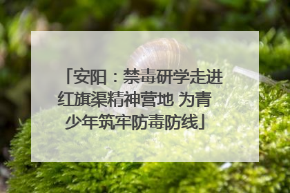 安阳：禁毒研学走进红旗渠精神营地 为青少年筑牢防毒防线