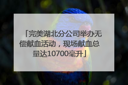 完美湖北分公司举办无偿献血活动，现场献血总量达10700毫升