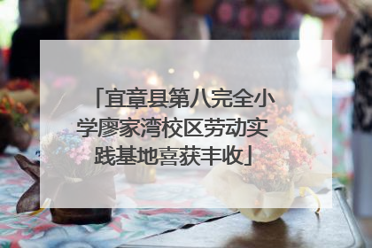 宜章县第八完全小学廖家湾校区劳动实践基地喜获丰收