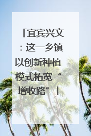宜宾兴文：这一乡镇以创新种植模式拓宽“增收路”