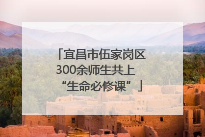 宜昌市伍家岗区300余师生共上“生命必修课”