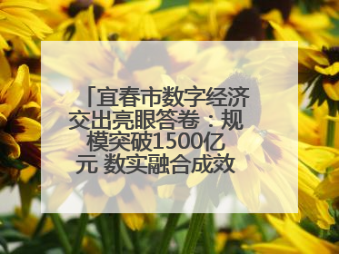 宜春市数字经济交出亮眼答卷：规模突破1500亿元 数实融合成效领跑全省（图）