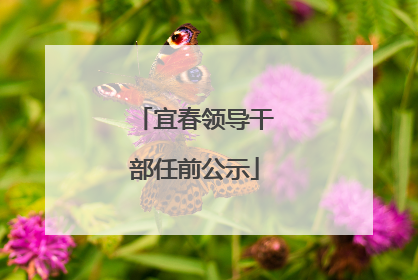 宜春领导干部任前公示