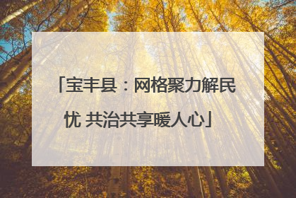 宝丰县：网格聚力解民忧 共治共享暖人心