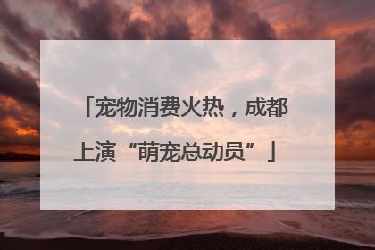 宠物消费火热，成都上演“萌宠总动员”