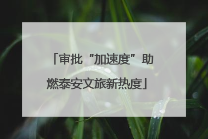 审批“加速度”助燃泰安文旅新热度