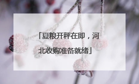 夏粮开秤在即，河北收购准备就绪