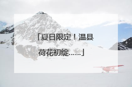 夏日限定！温县荷花初绽……