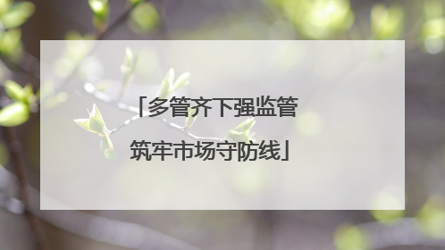 多管齐下强监管 筑牢市场守防线