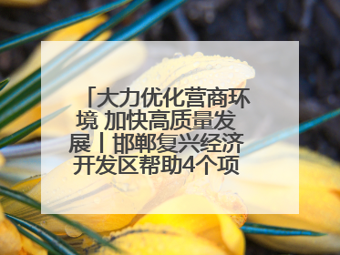 大力优化营商环境 加快高质量发展丨邯郸复兴经济开发区帮助4个项目及时落地