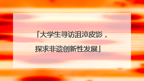大学生寻访沮漳皮影，探求非遗创新性发展