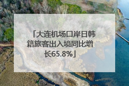 大连机场口岸日韩籍旅客出入境同比增长65.8%