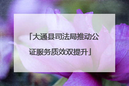 大通县司法局推动公证服务质效双提升