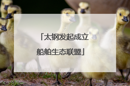 太钢发起成立船舶生态联盟