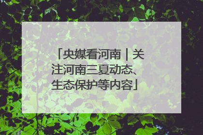 央媒看河南｜关注河南三夏动态、生态保护等内容