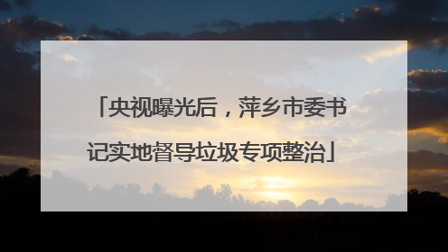 央视曝光后，萍乡市委书记实地督导垃圾专项整治