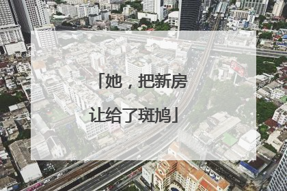 她，把新房让给了斑鸠