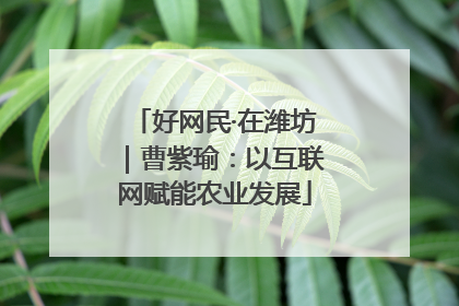 好网民·在潍坊｜曹紫瑜：以互联网赋能农业发展