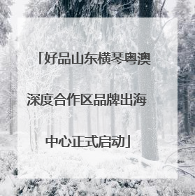 好品山东横琴粤澳深度合作区品牌出海中心正式启动