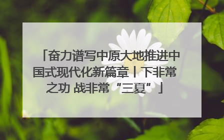 奋力谱写中原大地推进中国式现代化新篇章丨下非常之功 战非常“三夏”