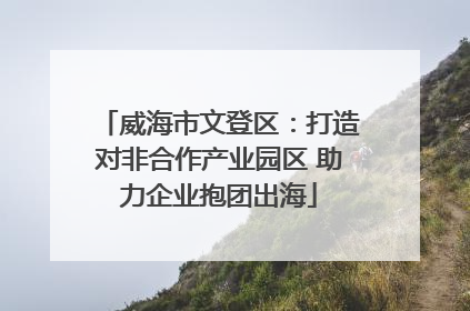 威海市文登区：打造对非合作产业园区 助力企业抱团出海