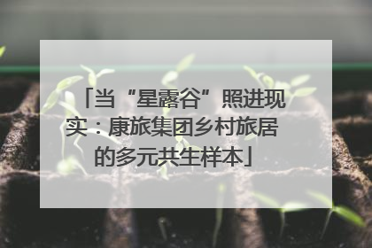 当“星露谷”照进现实：康旅集团乡村旅居的多元共生样本