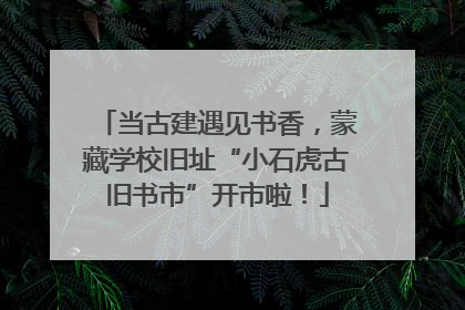 当古建遇见书香，蒙藏学校旧址“小石虎古旧书市”开市啦！