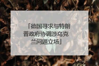 德国寻求与特朗普政府协调涉乌克兰问题立场