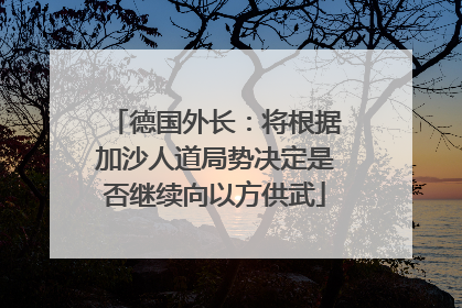 德国外长：将根据加沙人道局势决定是否继续向以方供武