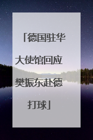 德国驻华大使馆回应樊振东赴德打球