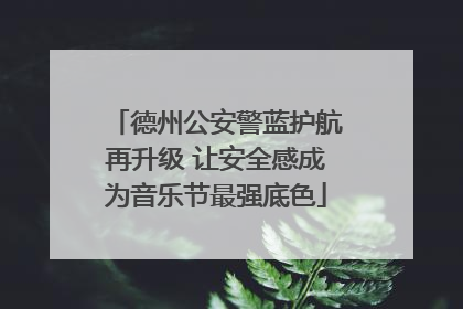 德州公安警蓝护航再升级 让安全感成为音乐节最强底色