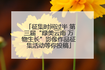 征集时间过半 第三届“绿美云南 万物生长”影像作品征集活动等你投稿