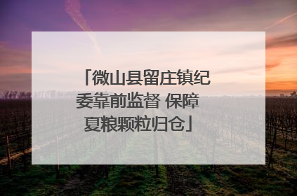 微山县留庄镇纪委靠前监督 保障夏粮颗粒归仓