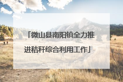 微山县南阳镇全力推进秸秆综合利用工作