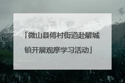 微山县傅村街道赴驩城镇开展观摩学习活动