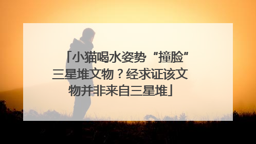 小猫喝水姿势“撞脸”三星堆文物？经求证该文物并非来自三星堆