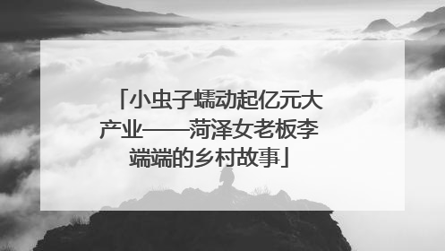小虫子蠕动起亿元大产业——菏泽女老板李端端的乡村故事
