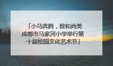 小马奔腾，致和尚美 成都市马家河小学举行第十届校园文化艺术节