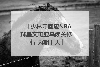 少林寺回应NBA球星文班亚马闭关修行 为期十天