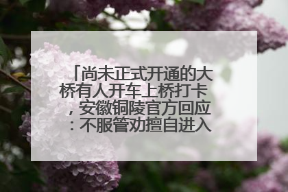 尚未正式开通的大桥有人开车上桥打卡，安徽铜陵官方回应：不服管劝擅自进入，已采取措施