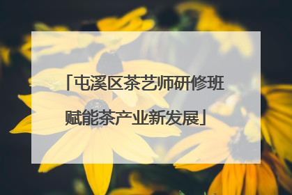 屯溪区茶艺师研修班赋能茶产业新发展