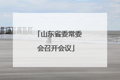 山东省委常委会召开会议