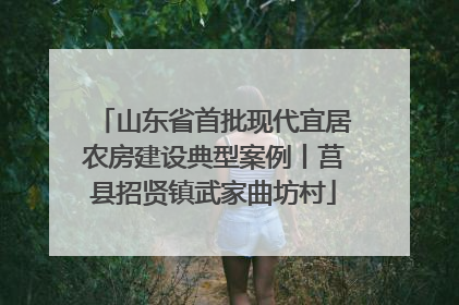 山东省首批现代宜居农房建设典型案例丨莒县招贤镇武家曲坊村