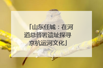 山东任城：在河道总督署遗址探寻京杭运河文化