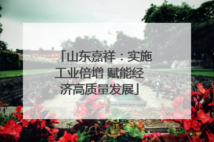山东嘉祥：实施工业倍增 赋能经济高质量发展
